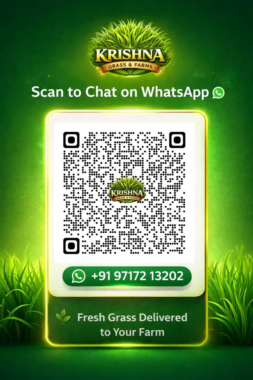 WhatsApp QR